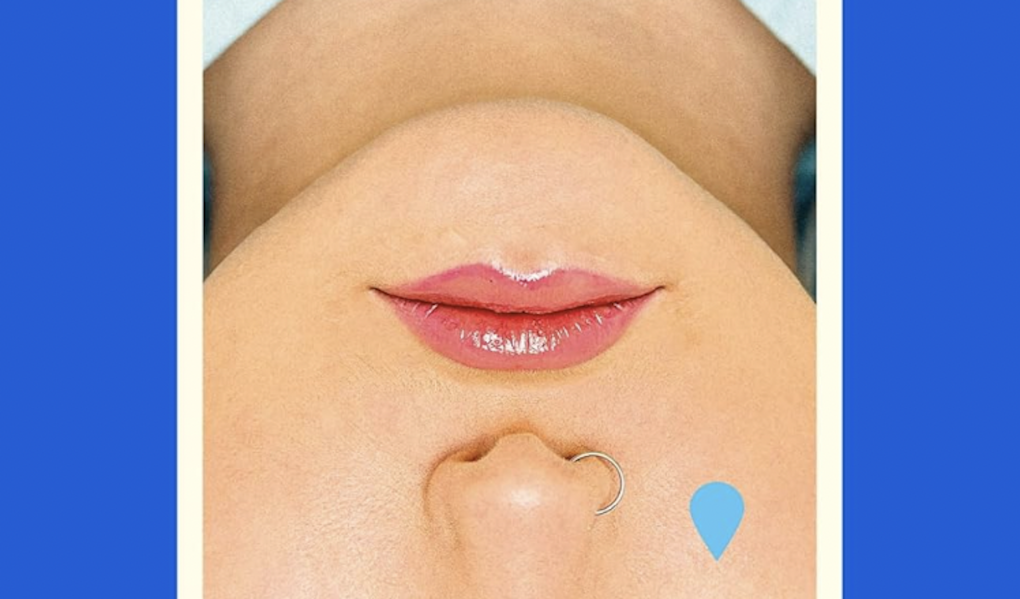 A book cover showing an illustration of a woman's face upside down. Only the nose, mouth and neck are visible.